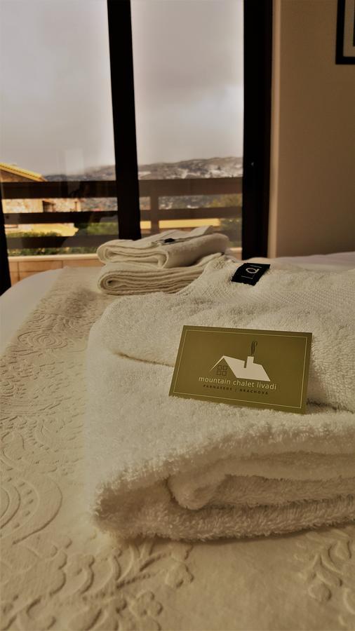 Mountain Chalet Livadi Арахова Екстериор снимка
