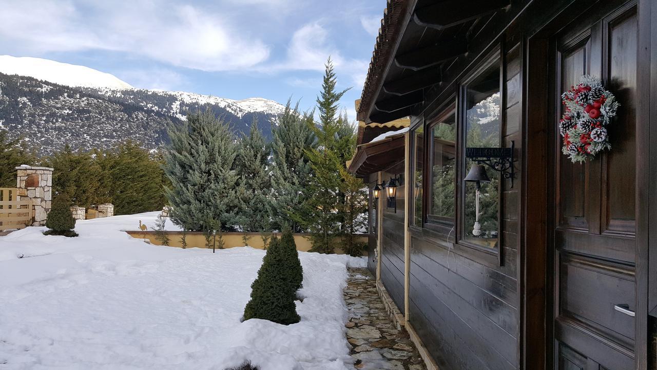 Mountain Chalet Livadi Арахова Екстериор снимка